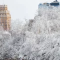 arboles cubiertos de hielo y nieve en las Cataratas del Niágara en su parte estadounidense, en Nueva York (EE.UU). EFE