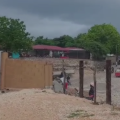 Pedernales mantiene comercio fronterizo con Haití bajo lluvias y sin presencia de refuerzo militar anunciado