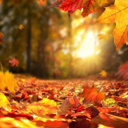 Otoño