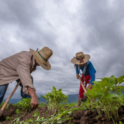Día del Agricultor: 5 datos que quizá no sabías sobre esta actividad en el país