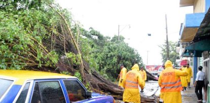 Dos árboles se desplomaron ocacionando la obtrución del tránsito en la calle Osvaldo García de la Concha en el sector de Villa Juana, por motivo de las lluvias caídas en el Distrito Nacional mientras una brigada del Ministerio de Obras Públicas esperaba que la corporación tumbara el sistena para retirar las ramas, durante un recorrido por diferentes barrios observamos calles inundadas. Hoy/ Napoleón Marte 10/07/2018,Dos árboles se desplomaron ocacionando la obtrución del tránsito en la calle Osvaldo García de la Concha en el sector de Villa Juana, por motivo de las lluvias caídas en el Distrito Nacional mientras una brigada del Ministerio de Obras Públicas esperaba que la corporación tumbara el sistena para retirar las ramas, durante un recorrido por diferentes barrios observamos calles inundadas. Hoy/ Napoleón Marte 10/07/2018