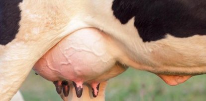 Acalorados por la música,Acalorados por la música