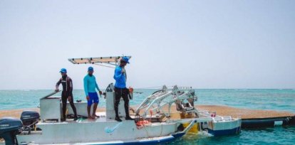 Instalan primera planta para la transformación del sargazo en RD,Instalan primera planta para la transformación del sargazo en RD