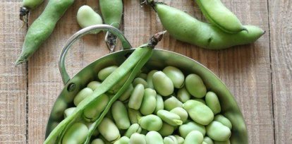 Legumbres: ¿Qué son y cómo te ayudan a bajar de peso?,Legumbres: ¿Qué son y cómo te ayudan a bajar de peso?