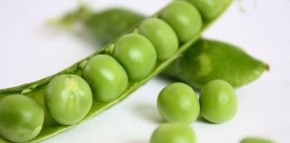 Legumbres: ¿Qué son y cómo te ayudan a bajar de peso?,Legumbres: ¿Qué son y cómo te ayudan a bajar de peso?