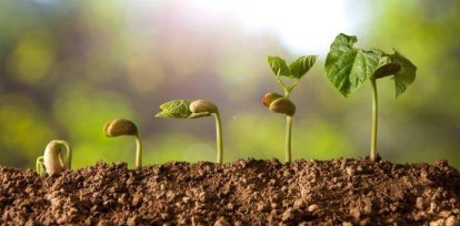 La guerra amenaza la cadena de alimentos y fertilizantes mundial,La guerra amenaza la cadena de alimentos y fertilizantes mundial