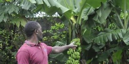 Alexis Almonte, KM 22, en el km 18 autopista Duarte arrollo Lebrón Luisa Lorenzo García, Wilson Alno, cañada Guajimia, Edner Espiegle, Miguel matero Hoy Arlenis Castillo/18/04/2022,Alexis Almonte, KM 22, en el km 18 autopista Duarte arrollo Lebrón Luisa Lorenzo García, Wilson Alno, cañada Guajimia, Edner Espiegle, Miguel matero Hoy Arlenis Castillo/18/04/2022