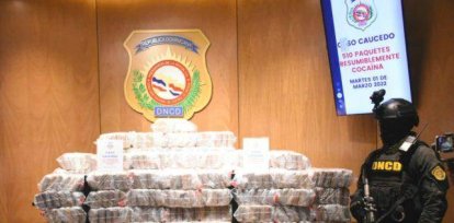 Paquetes incautados por la DNCD,Paquetes incautados por la DNCD