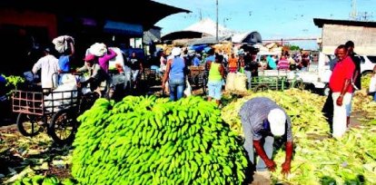 Pollo, cerdo, pescado, arroz, plátanos, yuca, aceite y papas suben precios,Pollo, cerdo, pescado, arroz, plátanos, yuca, aceite y papas suben precios