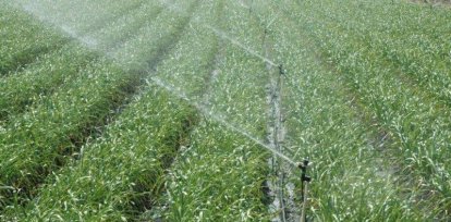 Diputado Edwin Mejía: «El cambio ha frenado la producción agrícola»,Diputado Edwin Mejía: «El cambio ha frenado la producción agrícola»