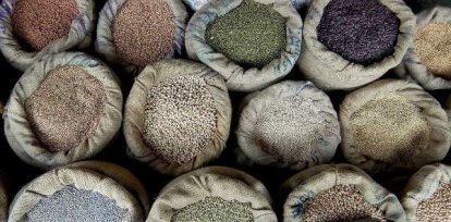 alimentación, saludable, pautas, legumbres, verano,alimentación, saludable, pautas, legumbres, verano