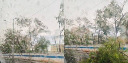 Lluvias provocan caída de árboles en la avenida Máximo Gómez,Lluvias provocan caída de árboles en la avenida Máximo Gómez