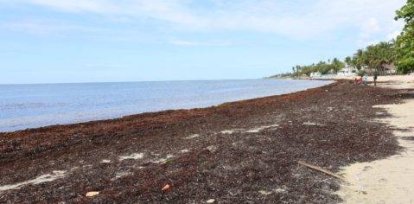 Recorrido en la playa de Guayacanes, Hoy/Arlenis Castillo/25/04/23,Recorrido en la playa de Guayacanes, Hoy/Arlenis Castillo/25/04/23