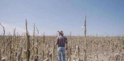 Un escenario “duro” en el Corredor Seco de Centroamérica,Un escenario “duro” en el Corredor Seco de Centroamérica