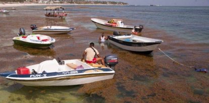 Playa dominicana afectada por una enorme cantidad de sargazo. Archivo,Playa dominicana afectada por una enorme cantidad de sargazo. Archivo