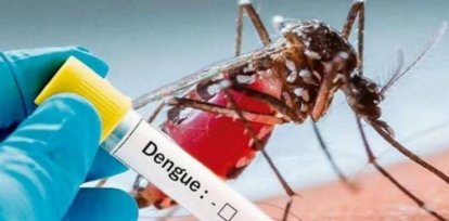 Dengue | ¿Por qué es importante matar a los mosquitos durante un brote?,Dengue | ¿Por qué es importante matar a los mosquitos durante un brote?