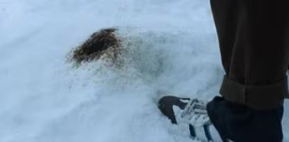 ¿Por qué los sobrevivientes orinaban negro en «La sociedad de la nieve»?,¿Por qué los sobrevivientes orinaban negro en «La sociedad de la nieve»?