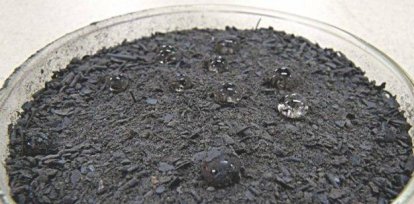 Este 14 de febrero, Día de San Valentín, no se come carne,Este 14 de febrero, Día de San Valentín, no se come carne