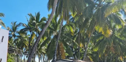 Protestan en Las Terrenas por suspensión de actividades. ARCHIVO FUENTE EXTERNA,Protestan en Las Terrenas por suspensión de actividades. ARCHIVO FUENTE EXTERNA