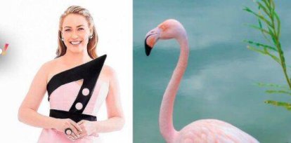 Premios Soberano: los memes no faltaron desde el inicio de la alfombra roja,Premios Soberano: los memes no faltaron desde el inicio de la alfombra roja