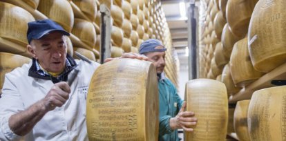 El banco que acepta queso parmesano como garantía para otorgar créditos,El banco que acepta queso parmesano como garantía para otorgar créditos