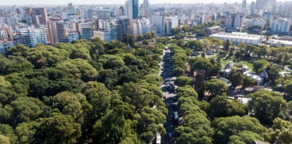 Cómo los árboles urbanos pueden salvar vidas y combatir el cambio climático,Cómo los árboles urbanos pueden salvar vidas y combatir el cambio climático