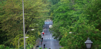 Cómo los árboles urbanos pueden salvar vidas y combatir el cambio climático,Cómo los árboles urbanos pueden salvar vidas y combatir el cambio climático