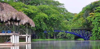 Opciones para pasear al aire libre con los niños,Opciones para pasear al aire libre con los niños