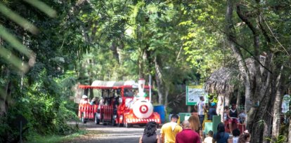 Opciones para pasear al aire libre con los niños,Opciones para pasear al aire libre con los niños