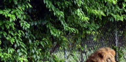 Opciones para pasear al aire libre con los niños,Opciones para pasear al aire libre con los niños