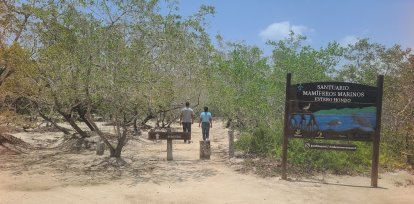 Asegura que Cibao Atlántico es el pulmón económico a desarrollar Línea Noroeste,Asegura que Cibao Atlántico es el pulmón económico a desarrollar Línea Noroeste