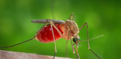 Desde salud mental hasta el plan eléctrico: las 10 más leídas de las semana,Desde salud mental hasta el plan eléctrico: las 10 más leídas de las semana