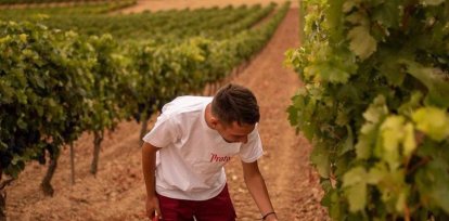 Protos Peñafiel, Valladolid. (Castilla y León), una bodega que se remonta a 1927, cuando un grupo de hombres visionarios supieron entender la tierra e imaginar un proyecto vinícola de éxito que ha llegado intacto hasta nuestros días. Así nació Protos, una de las marcas más acreditadas que tienen viñedos y bodegas en Ribera del Duero y en Rueda.,Protos Peñafiel, Valladolid. (Castilla y León), una bodega que se remonta a 1927, cuando un grupo de hombres visionarios supieron entender la tierra e imaginar un proyecto vinícola de éxito que ha llegado intacto hasta nuestros días. Así nació Protos, una de las marcas más acreditadas que tienen viñedos y bodegas en Ribera del Duero y en Rueda.