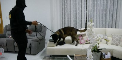 Operación Búfalo NK: Así fue como desmantelaron la red de narcotráfico internacional,Operación Búfalo NK: Así fue como desmantelaron la red de narcotráfico internacional