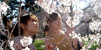 ‘The Impossible’ y otras películas sobre tsunamis, ‘The Impossible’ y otras películas sobre tsunamis