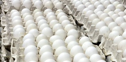 ¿Habrá pollo y huevo para la cena de Navidad 2024?,¿Habrá pollo y huevo para la cena de Navidad 2024?