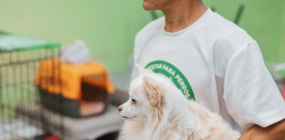 Más de 100 perros y gatos fueron esterilizados, vacunados y desparasitantes,Más de 100 perros y gatos fueron esterilizados, vacunados y desparasitantes