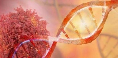FMRP, proteína que impide que inmunoterapia contra el cáncer funcione,FMRP, proteína que impide que inmunoterapia contra el cáncer funcione