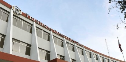 Tribunal Constitucional (TC).,Tribunal Constitucional (TC).