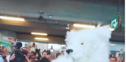 Descubre cómo un oso polar reveló a Juanes en las calles de Medellín,Descubre cómo un oso polar reveló a Juanes en las calles de Medellín