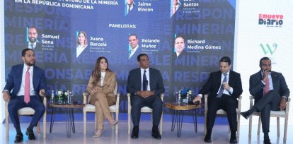 Tierras raras: ¿El futuro de la minería en República Dominicana?,Tierras raras: ¿El futuro de la minería en República Dominicana?