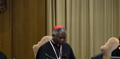 El cardenalghanés Peter K. A. Turkson. EFE/ Maurizio Brambatti,El cardenalghanés Peter K. A. Turkson. EFE/ Maurizio Brambatti