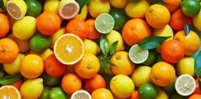 ¿Qué vitaminas son fundamentales para la salud y qué alimento aporta la mayor variedad?,¿Qué vitaminas son fundamentales para la salud y qué alimento aporta la mayor variedad?