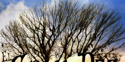 Series y películas para ver con papá: opciones para compartir en familia  ,Series y películas para ver con papá: opciones para compartir en familia