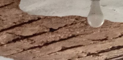 La dramática historia de una anciana de 80 años y sus hijos: su casa se le cae encima  ,  La dramática historia de una anciana de 80 años y sus hijos: su casa se le cae encima