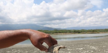 La Laguna de Cabral agoniza: fotos y videos muestran su alarmante realidad,La Laguna de Cabral agoniza: fotos y videos muestran su alarmante realidad