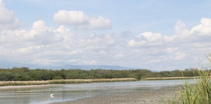La Laguna de Cabral agoniza: fotos y videos muestran su alarmante realidad,La Laguna de Cabral agoniza: fotos y videos muestran su alarmante realidad