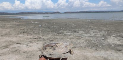 La Laguna de Cabral agoniza: fotos y videos muestran su alarmante realidad,La Laguna de Cabral agoniza: fotos y videos muestran su alarmante realidad