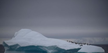 Un grupo de pigüinos camina sobre un iceberg que flota en el canal de Lemaire, en la Antártida (6 de febrero) ,Un grupo de pigüinos camina sobre un iceberg que flota en el canal de Lemaire, en la Antártida (6 de febrero)