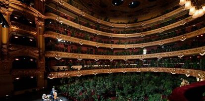 Un cuarteto de cuerdas toca para una audiencia compuesta por plantas en la reapertura del Teatro del Liceo en Barcelona (22 de junio),Un cuarteto de cuerdas toca para una audiencia compuesta por plantas en la reapertura del Teatro del Liceo en Barcelona (22 de junio)